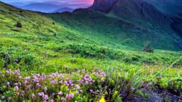 Versiculos biblicos Sobre ser agradecidos + MUSICA PARA ORAR