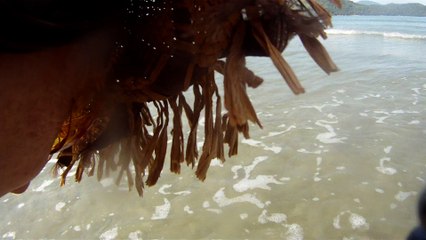 Caminhada nas areias, ondas e mares de Ubatuba, SP, Brasil, Agosto de 2015
