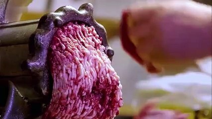 Capitalisme 6l6 Karl Polanyi, le facteur humain