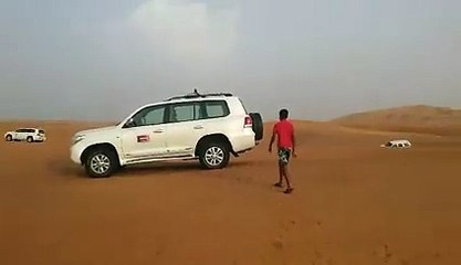 Evening Desert Safari Tour in Dubai - Desert Safari Tours