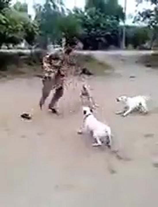 Funny Dog Prank