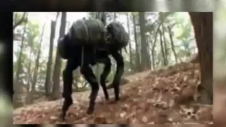 Four-Leg-Robot-In-China-With-Fast-Motion