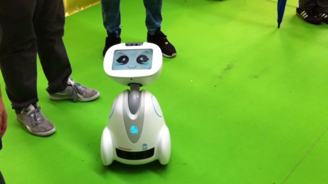 Budy et Basil Collard de Blue frog robotic