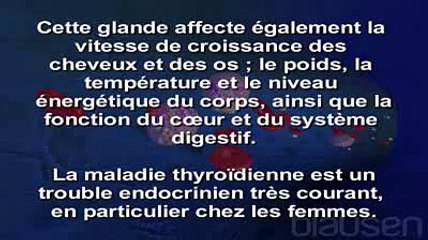 Les maladies de la thyroïde - Hypothyroidie - Hyperthyroidie