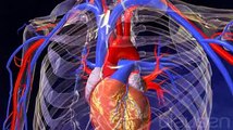 L'anévrisme de l'aorte abdominale