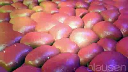 Le cancer de l'estomac