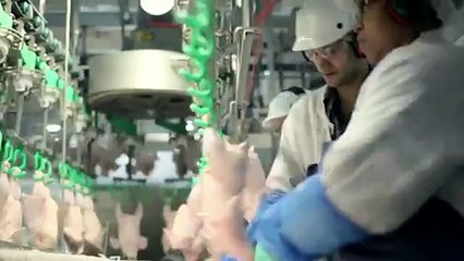 De quoi sont constitués les nuggets de McDonald's ?