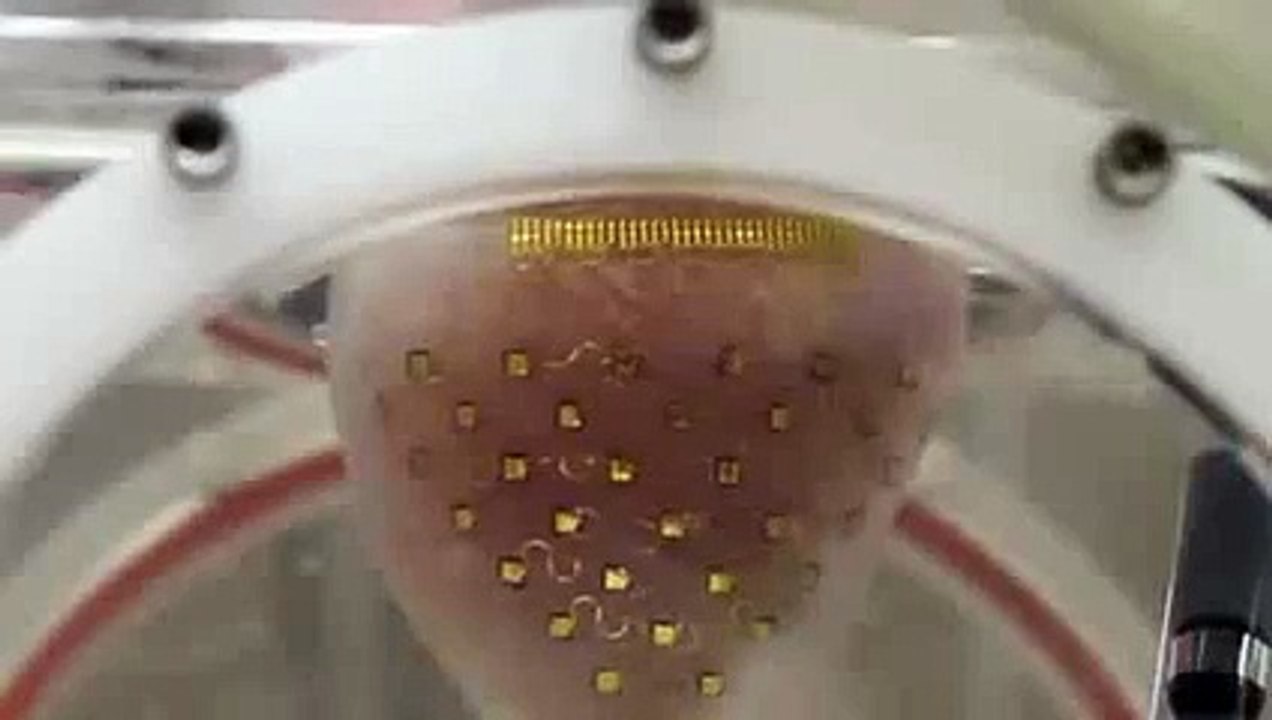 Cette membrane peut faire battre votre cœur hors de votre corps !