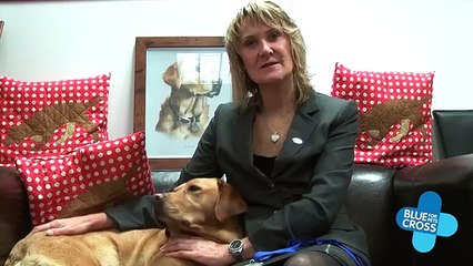 Son chien a détecté son cancer et lui a sauvé la vie