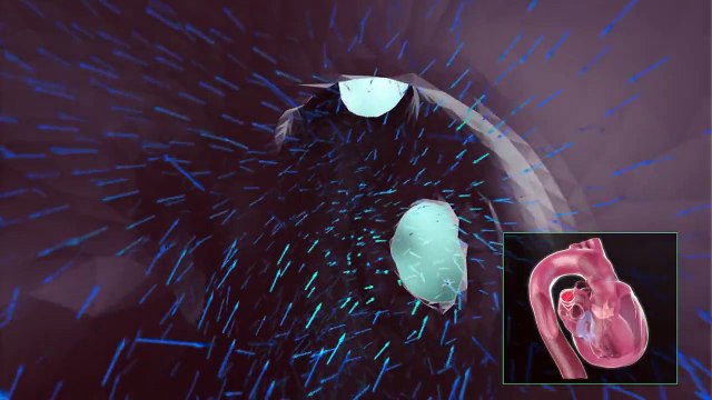 Des images incroyables du coeur humain