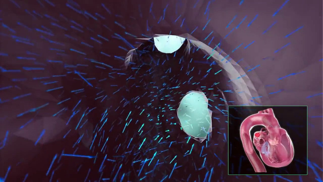 Des images incroyables du coeur humain