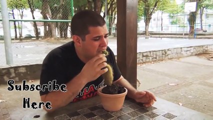 Eating a CACTUS CHALLENGE !!! for (BIGERN666)