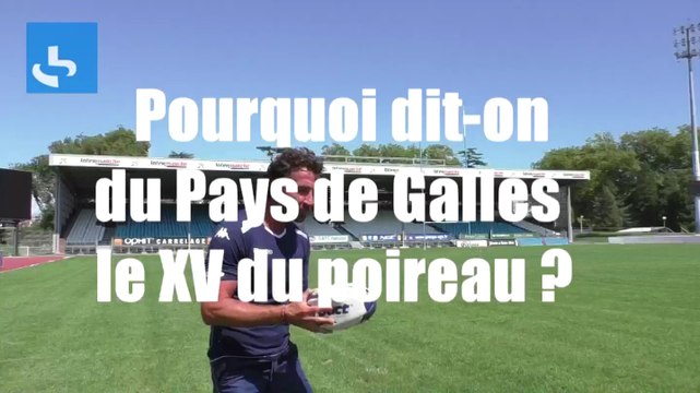 Rugby - Le tour du monde de Vincent Etcheto : le Pays de Galles