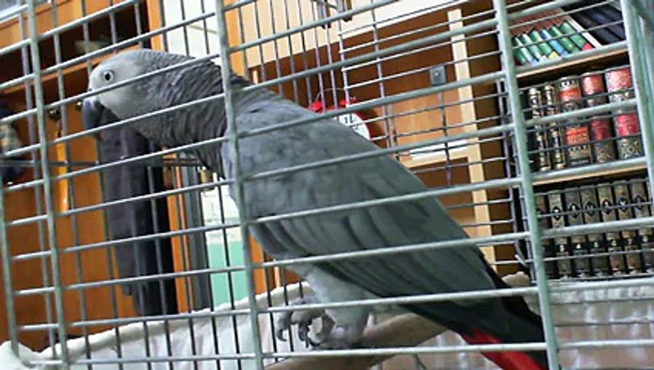 VID-20150918-WA0004.mp4