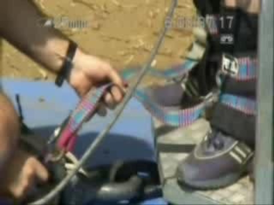 aligator saut elastique