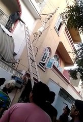 Bakra hanging on electric wire