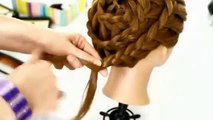 hair styles (French Braid Updo)