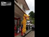 Chinese New Year Lion Dance Performance Fail