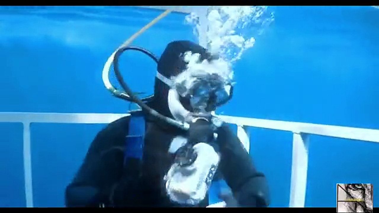 Great White Snaps Cage in Half  Worlds Scariest Animal Attacks