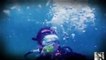 Diver Mauled in Squid Attack  Man-Eating Super Squid