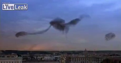Starlings Over Rome!