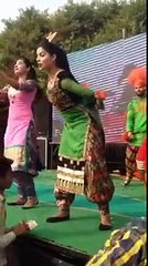 Punjabi Dancer Dance On Stage