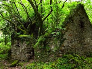 Gymnopédie N°3 - Erik Satie