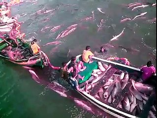 Let's catch with lots fish