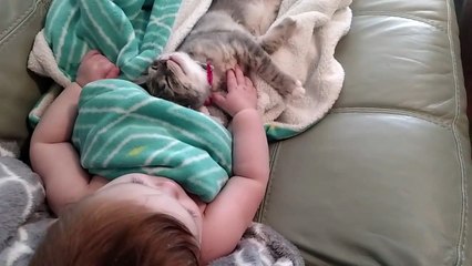 Tierno Bebé despierta junto a su gato despues de una siesta