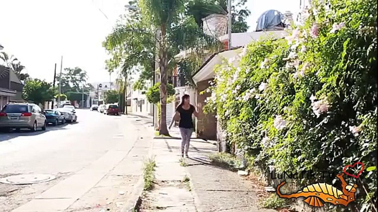 Épique échoue 2014 extrêmes drôle essayez de ne pas rire. échec de la semaine 2015