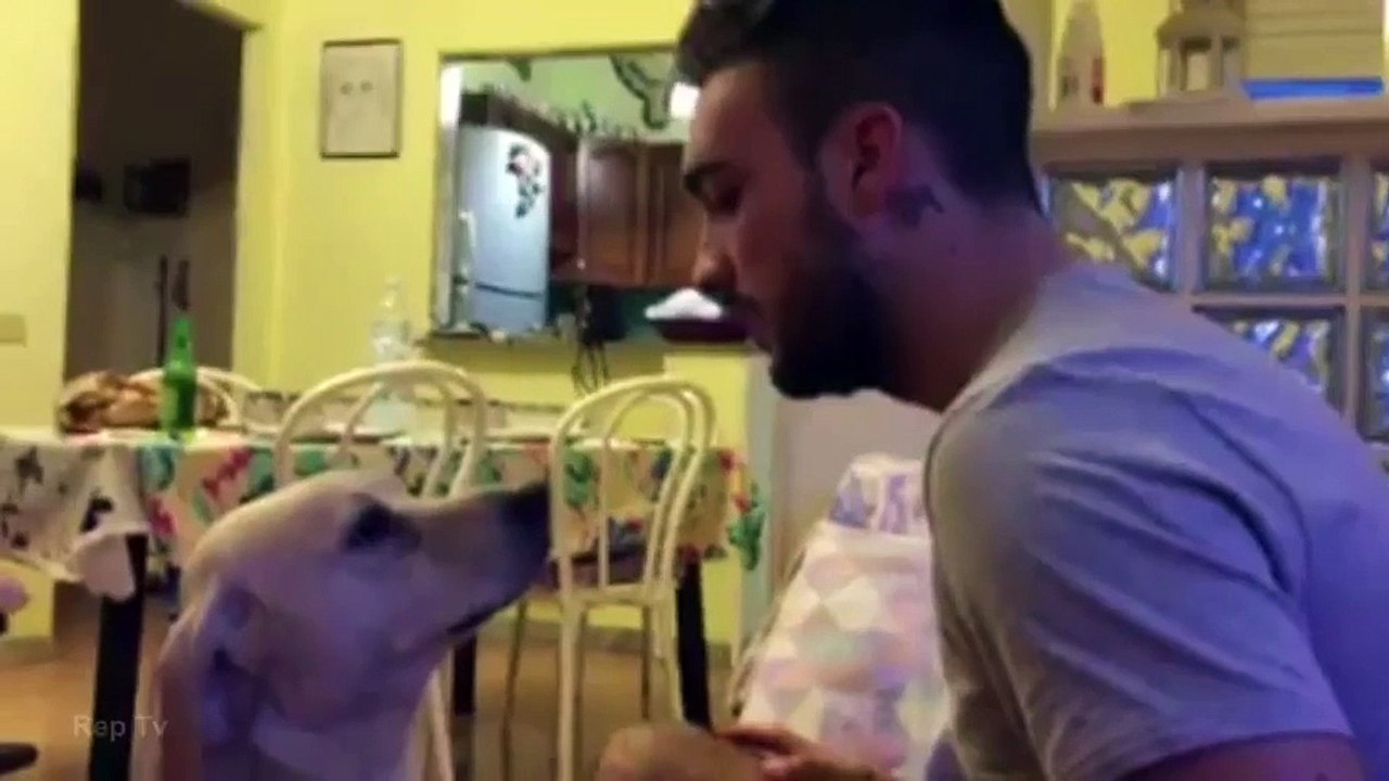 El Perro que aprendio a pedir Perdón