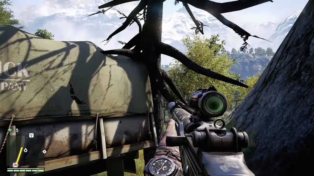 Trees havin fun