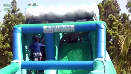 Funny Dogs on Water Slides Compilation 2014 [HD]