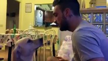 Perro le pide perdón a su dueño y se vuelve viral