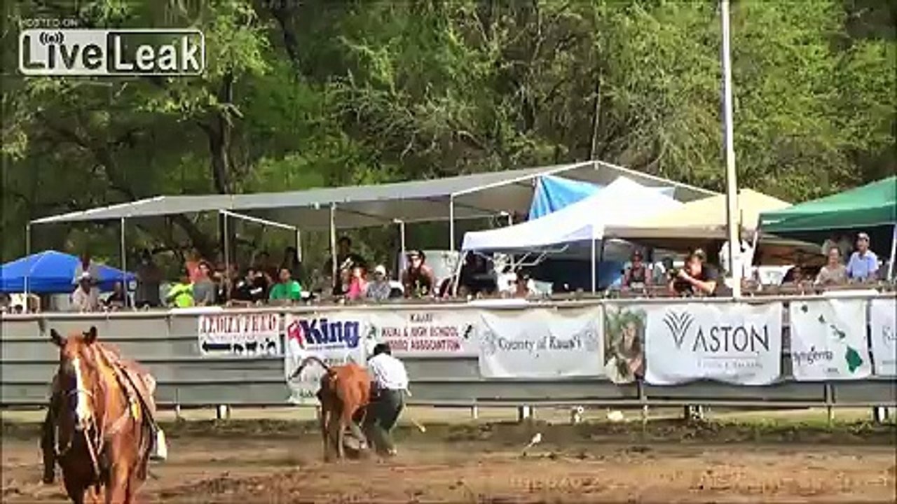 Calf Roping Gone Bad