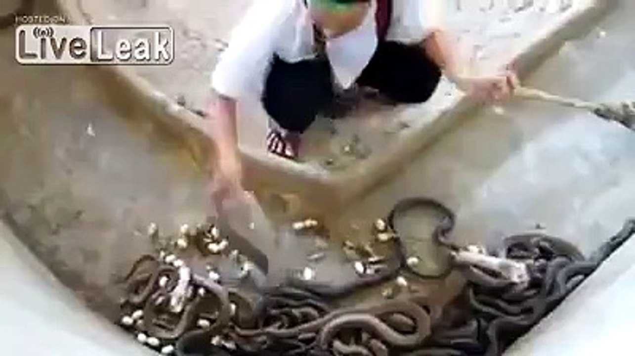 Oh My God..Dudes Funny Commentary,On Snake Handler.