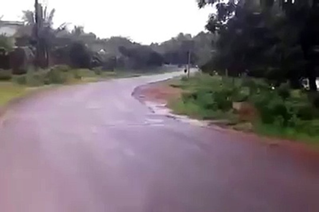 Funny Videos 2