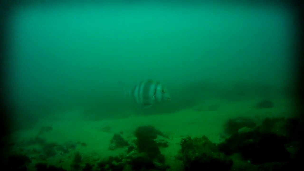 Big Fishbowl - Algarve 2013