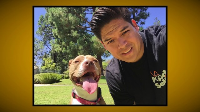 Pooch Selfie: The best way to capture pictures and selfies with your dog!