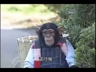 Amazing channel ,Amazing videos