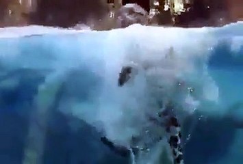 Did you know they could do this