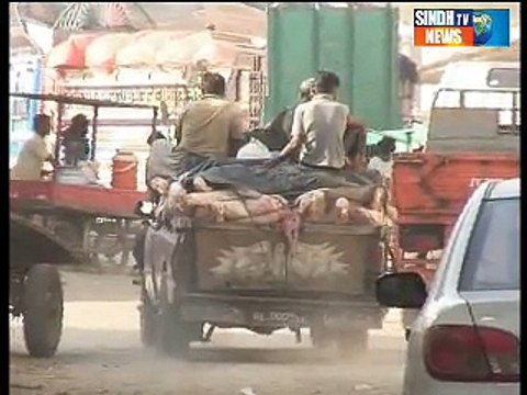 Sindhtv news Documentary Bhains Colony Part 01