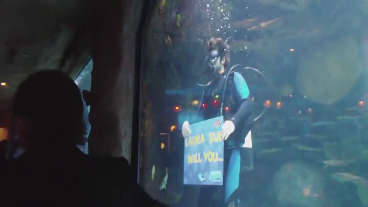 Demande en mariage sous-marine... Surprise Magique!