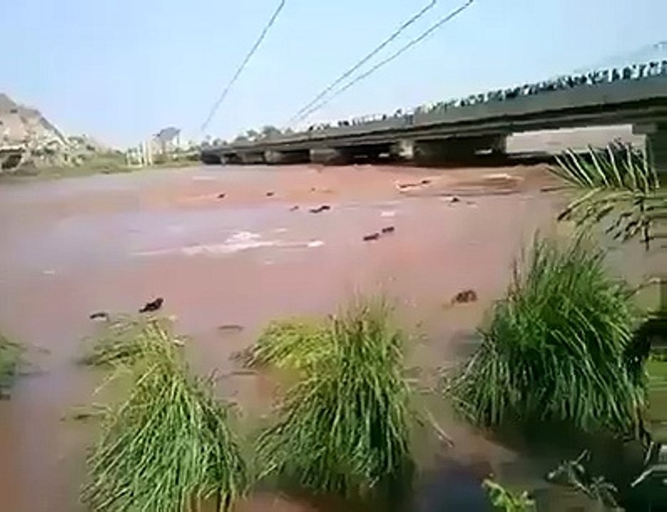 Flood in river