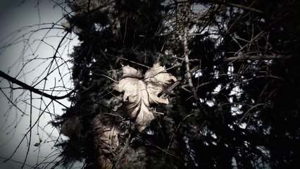 Анастасия Старикова.Прикасаясь.