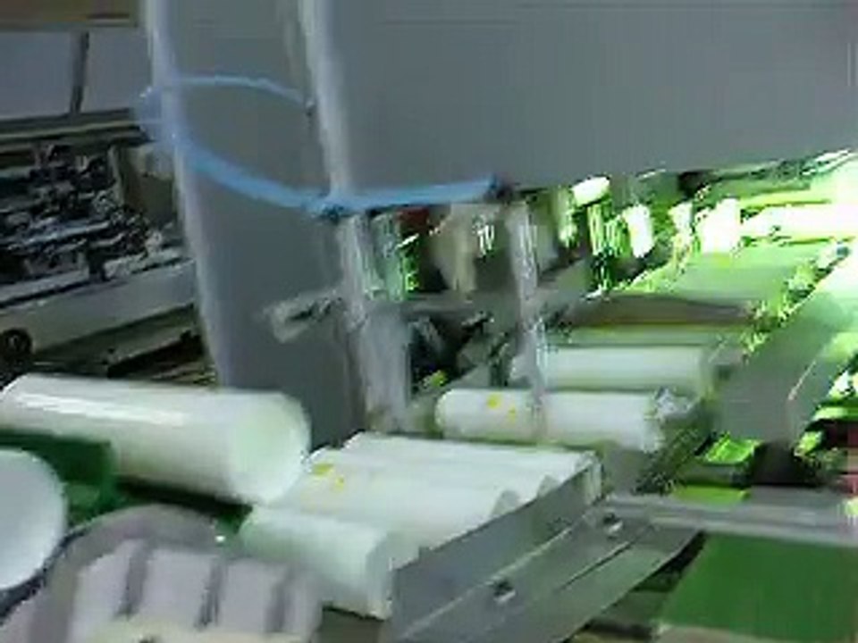 Automatic UV Screen Printing Mahcine