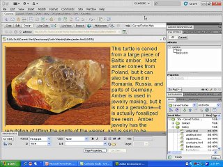 Learning Adobe Dreamweaver Environment