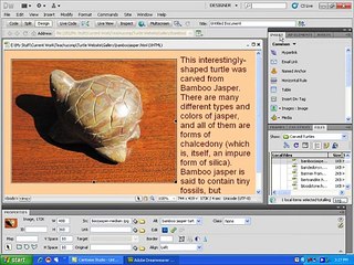006.Working With Panels