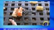 BARI | Sottaceti con vermi, sequestrate 35 tonnellate di conserve