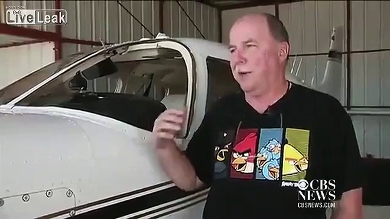Bird vs Plane